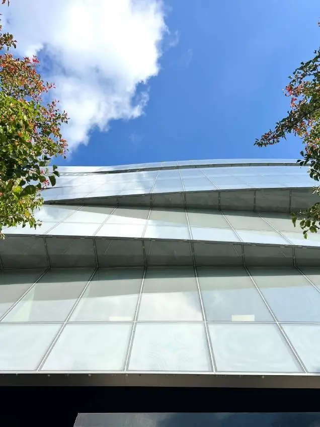 Castellana 200 — detalle de la carpintería